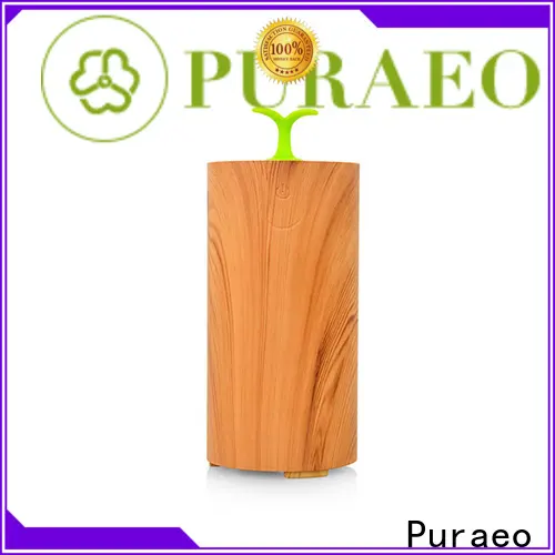 Puraeo best usb diffuser for business 1