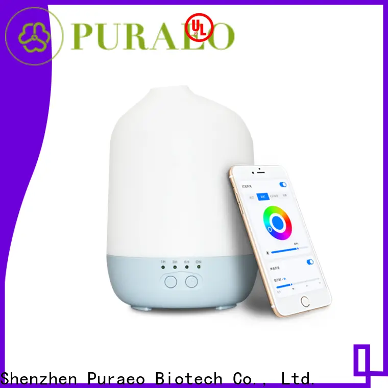 Puraeo High-quality usb oil diffuser company 1