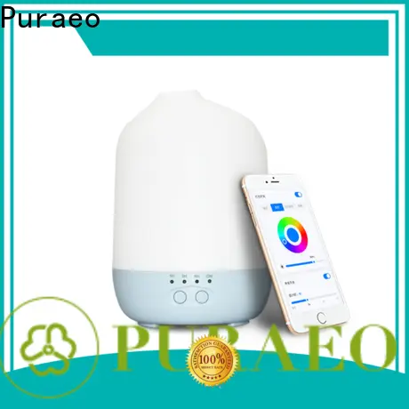Puraeo usb powered essential oil diffuser manufacturers 1