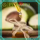 Wholesale carrier oils for oily skin for business for hair 1