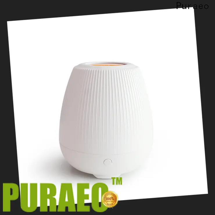 Puraeo Latest usb travel diffuser with essential oils for business 1