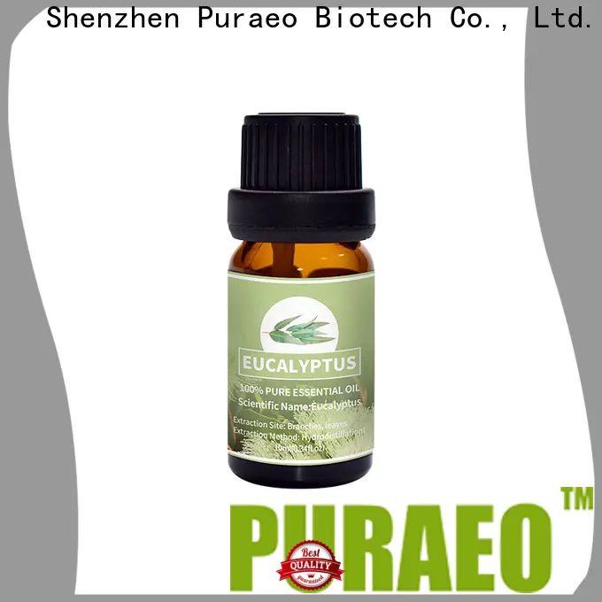 Puraeo peppermint oil for hair manufacturers for skin 1