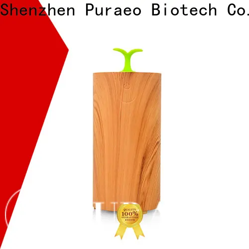 Puraeo usb car essential oil diffuser Suppliers 1