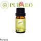 Wholesale organic lavender essential oil Supply for massage 1