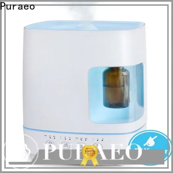 Puraeo High-quality car diffuser bulk factory 1