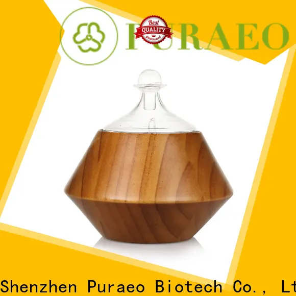 Puraeo Latest small usb diffuser manufacturers 1