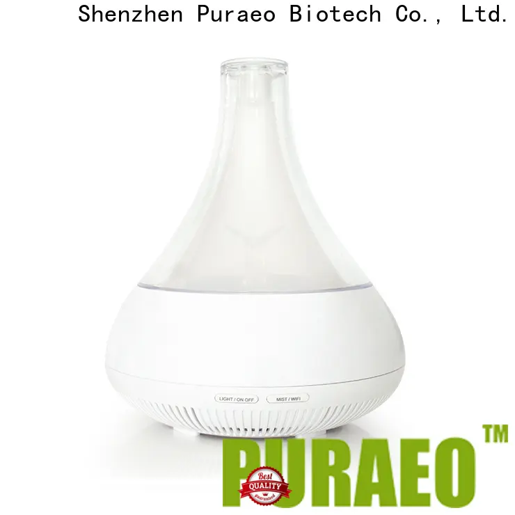 Puraeo Latest car diffuser company 1