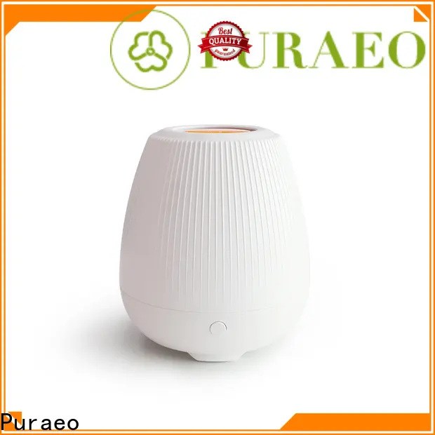 Puraeo High-quality portable usb diffuser manufacturers 1