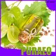 Puraeo best carrier oil for anti aging for business for face 1