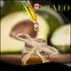 Puraeo Latest best carrier oil for massage manufacturers for perfume 1