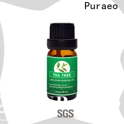 Latest rosemary oil for face for business for face 1