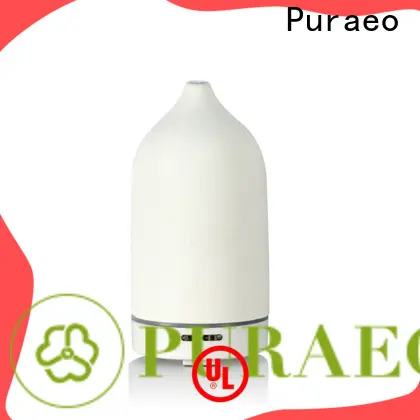Puraeo portable usb diffuser factory 1