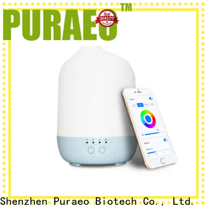 Puraeo portable usb essential oil diffuser Suppliers 1