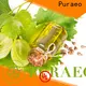 Puraeo New avocado oil bulk wholesale Supply for massage 1