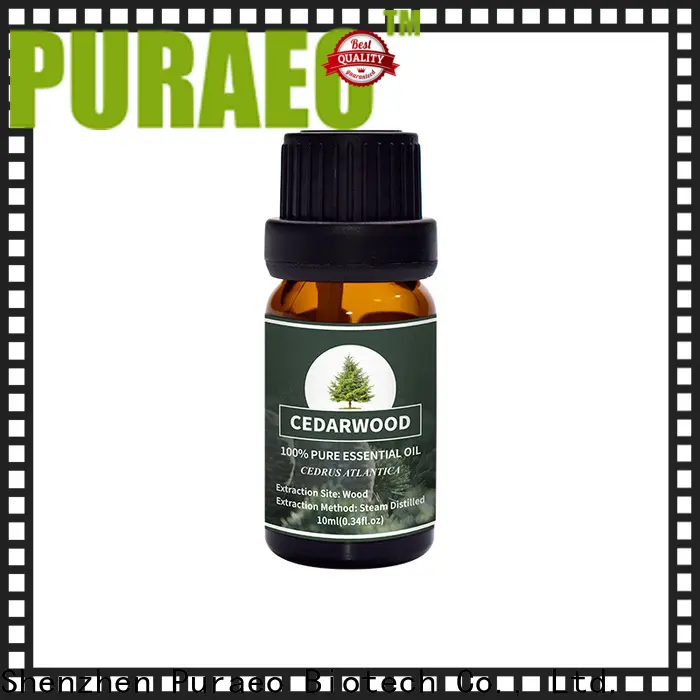 Puraeo organic peppermint oil for business for massage 1