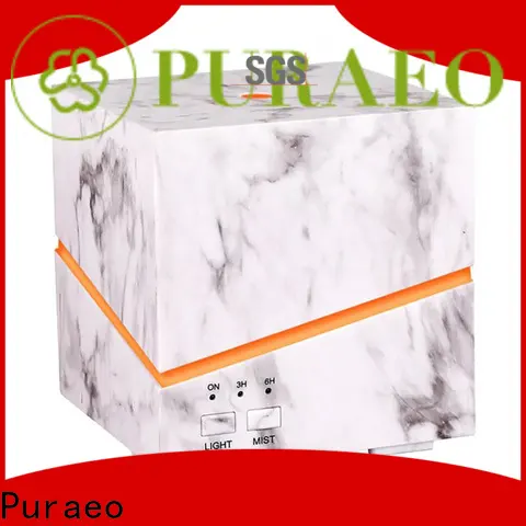 Puraeo Custom portable usb aroma diffuser Supply 1