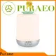 Puraeo custom essential oils for business for skin 1