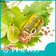 Wholesale best carrier oil for face Supply for face 1