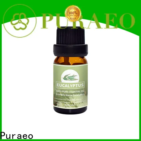 Puraeo Best pure peppermint oil for business for hair 1