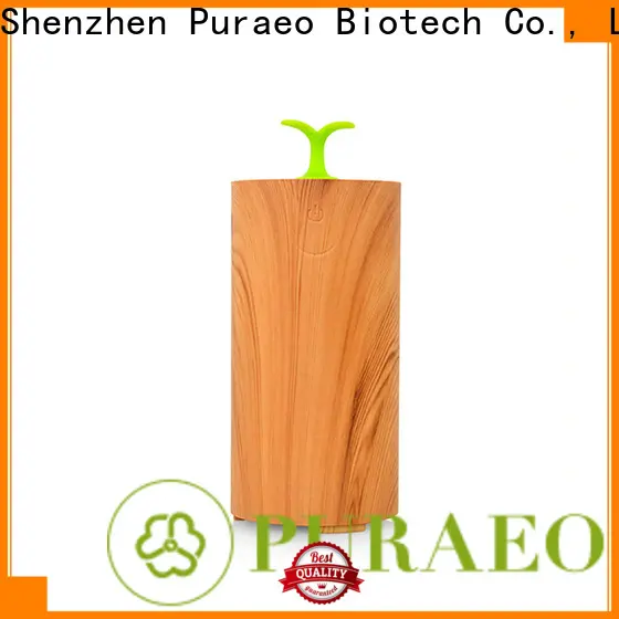 Puraeo Latest usb oil diffuser Suppliers1 1