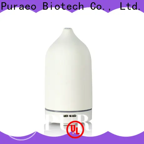 Puraeo Best car diffuser wholesale Suppliers 1