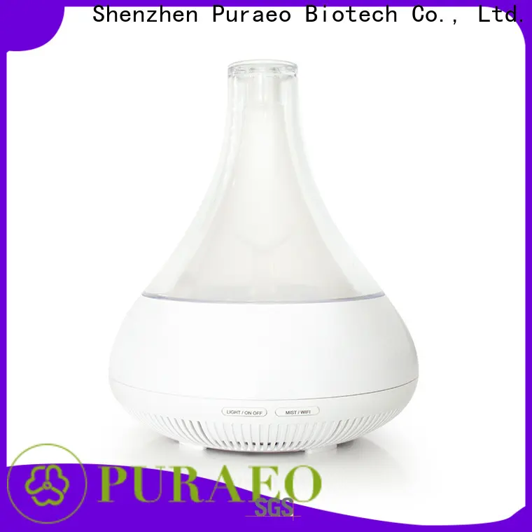 Puraeo New mini usb diffuser company 1