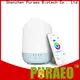 Puraeo Best aroma diffuser wholesale usa manufacturers 1