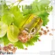 Latest organic fractionated coconut oil company for face 1