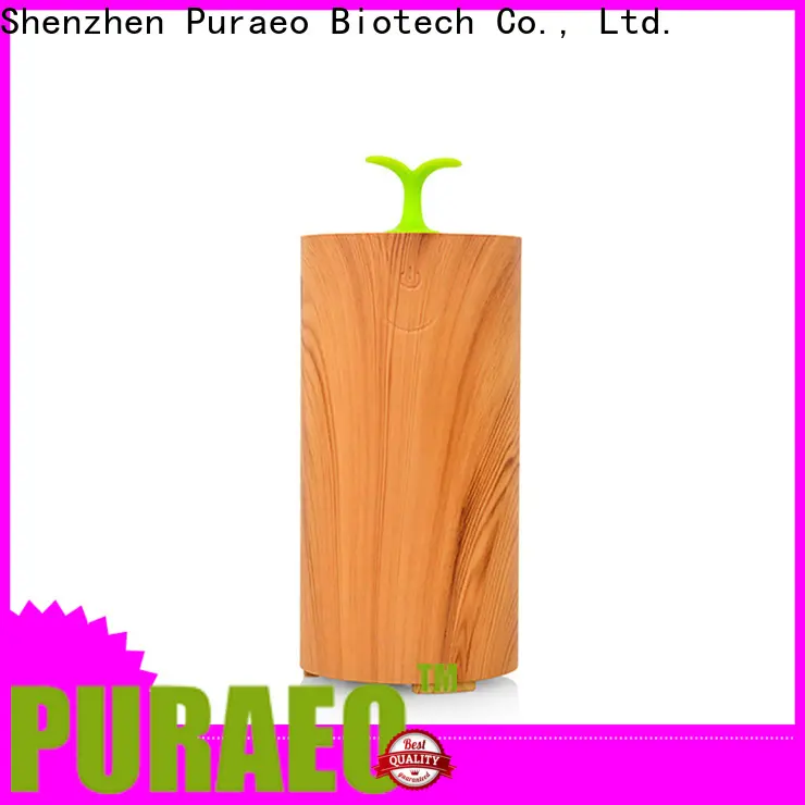 Top usb rechargeable essential oil diffuser Supply 1