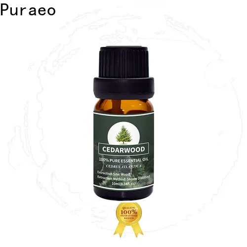 Latest organic lavender oil company for perfume 1