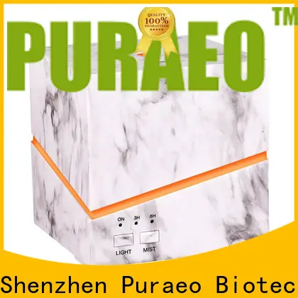 Puraeo usb rechargeable essential oil diffuser for business 1