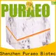 Puraeo usb rechargeable essential oil diffuser for business 1