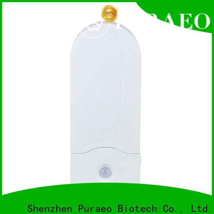 Puraeo Latest usb air diffuser company 1