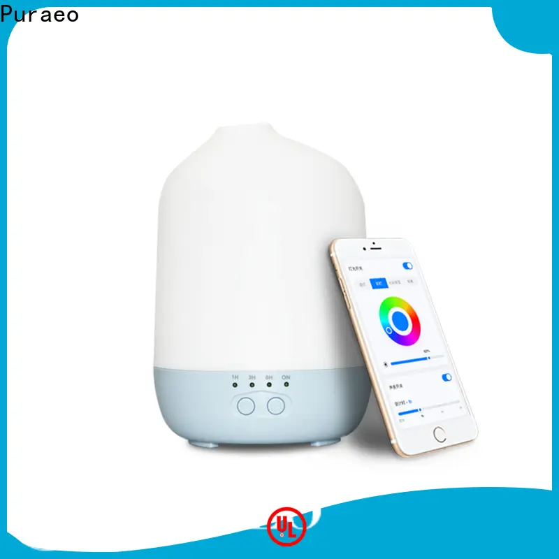Puraeo essential oil car diffuser wholesale for business 1