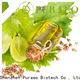 Puraeo Best carrier oil set Supply for massage 1