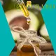 Puraeo good carrier oils factory for hair 1