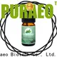 Puraeo Top clary sage oil for business for perfume 1
