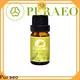 Puraeo best rosemary oil for hair growth Supply for hair 1