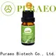 Puraeo peppermint oil for hair Supply for skin 1