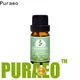 Latest ginger oil for massage Suppliers for hair 1