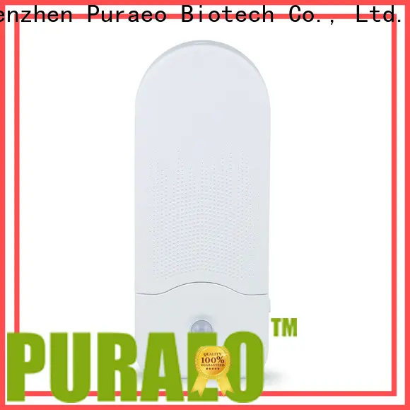 Puraeo High-quality small usb diffuser for business 1