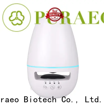 Puraeo High-quality usb car essential oil diffuser Suppliers 1