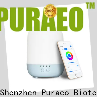 Top usb travel diffuser with essential oils for business 1