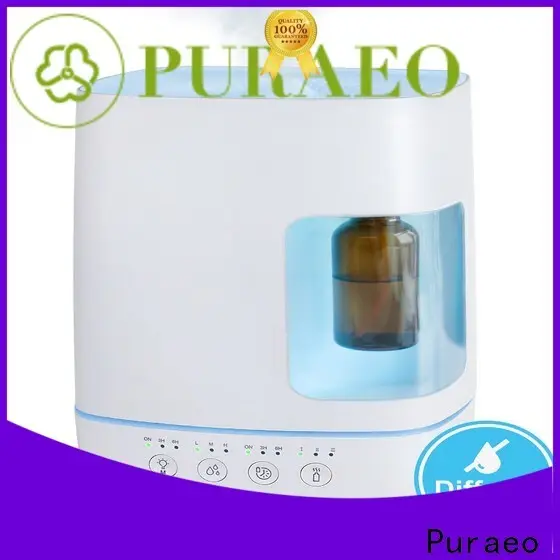 Puraeo car diffuser wholesale manufacturers 1