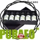 Puraeo essential oil blend set Supply for perfume 1
