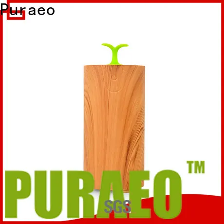 Puraeo Latest usb rechargeable diffuser factory 1