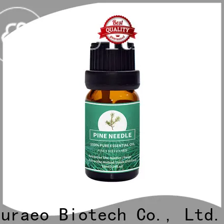 Puraeo Wholesale carrier oils supplier for business for hair 1