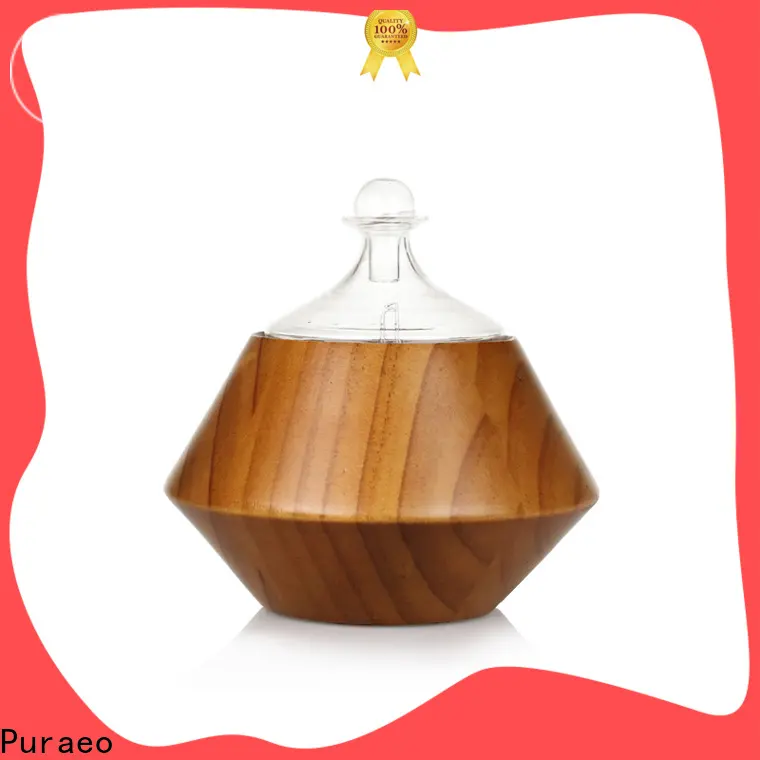 Puraeo Best usb travel diffuser company 1
