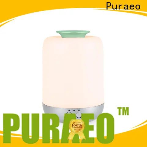 Puraeo High-quality usb oil diffuser company1 1