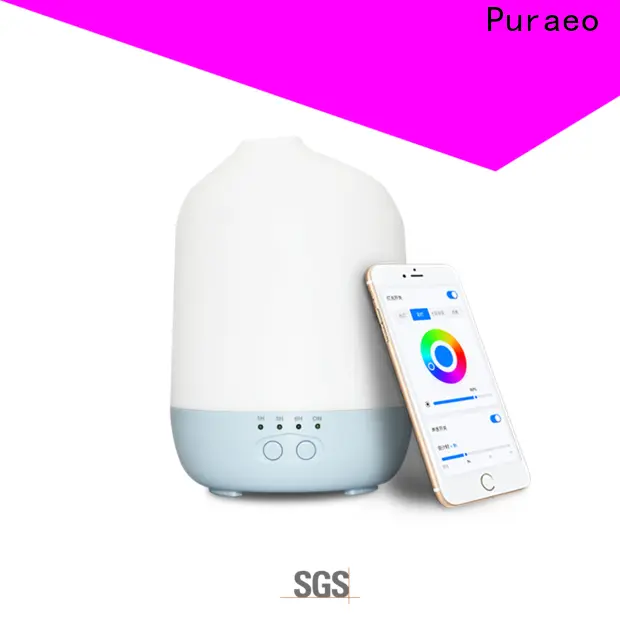 Puraeo car diffuser Suppliers 1